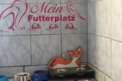 Futterplatz Katzenhoffnung Steiermark - das Paradies für HandiCATs / behinderte Katzen