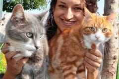 Bettina Bernadowitsch Katzenhoffnung Steiermark - das Paradies für HandiCATs / behinderte Katzen