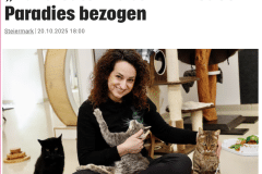 Paradies für HandiCATs Katzenhoffnung