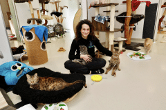 Bildschirmfoto-2025-10-21-um-14.31.54