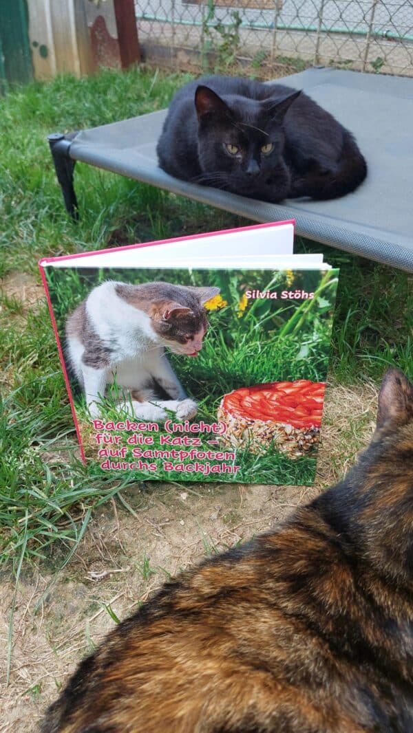 Katzen-Backbuch (nicht für die Katze) – Bild 11