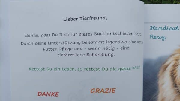 Katzen-Backbuch (nicht für die Katze) – Bild 9