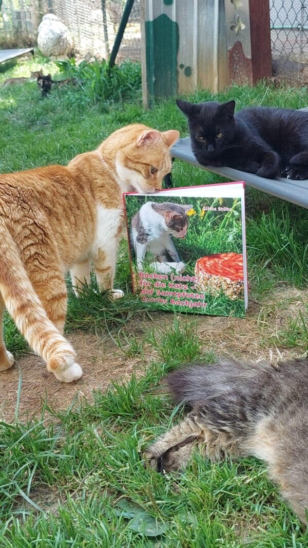 Katzen-Backbuch (nicht für die Katze) – Bild 8
