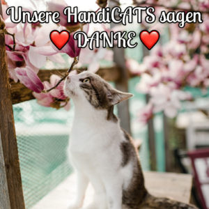 Spende von EUR 10,-