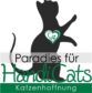 Paradies für HandiCATs Katzenhoffnung